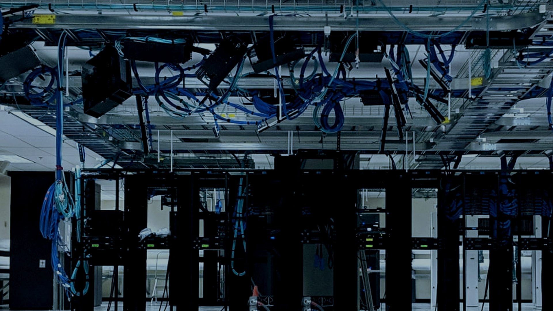 Close-up of dense blue cabling on overhead trays above server racks in a data hall